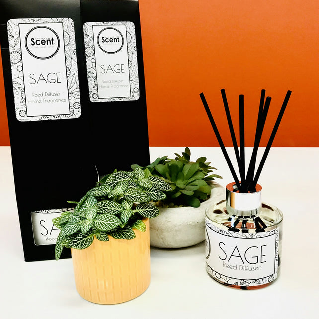 SAGE Home Fragrance Reed Diffuser