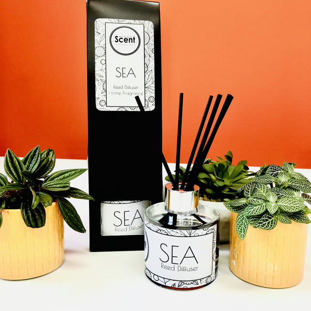 SEA Home Fragrance Reed Diffuser