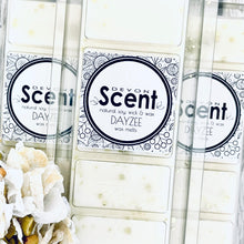 Load image into Gallery viewer, Dayzee Snap Bar Soy Wax Melts
